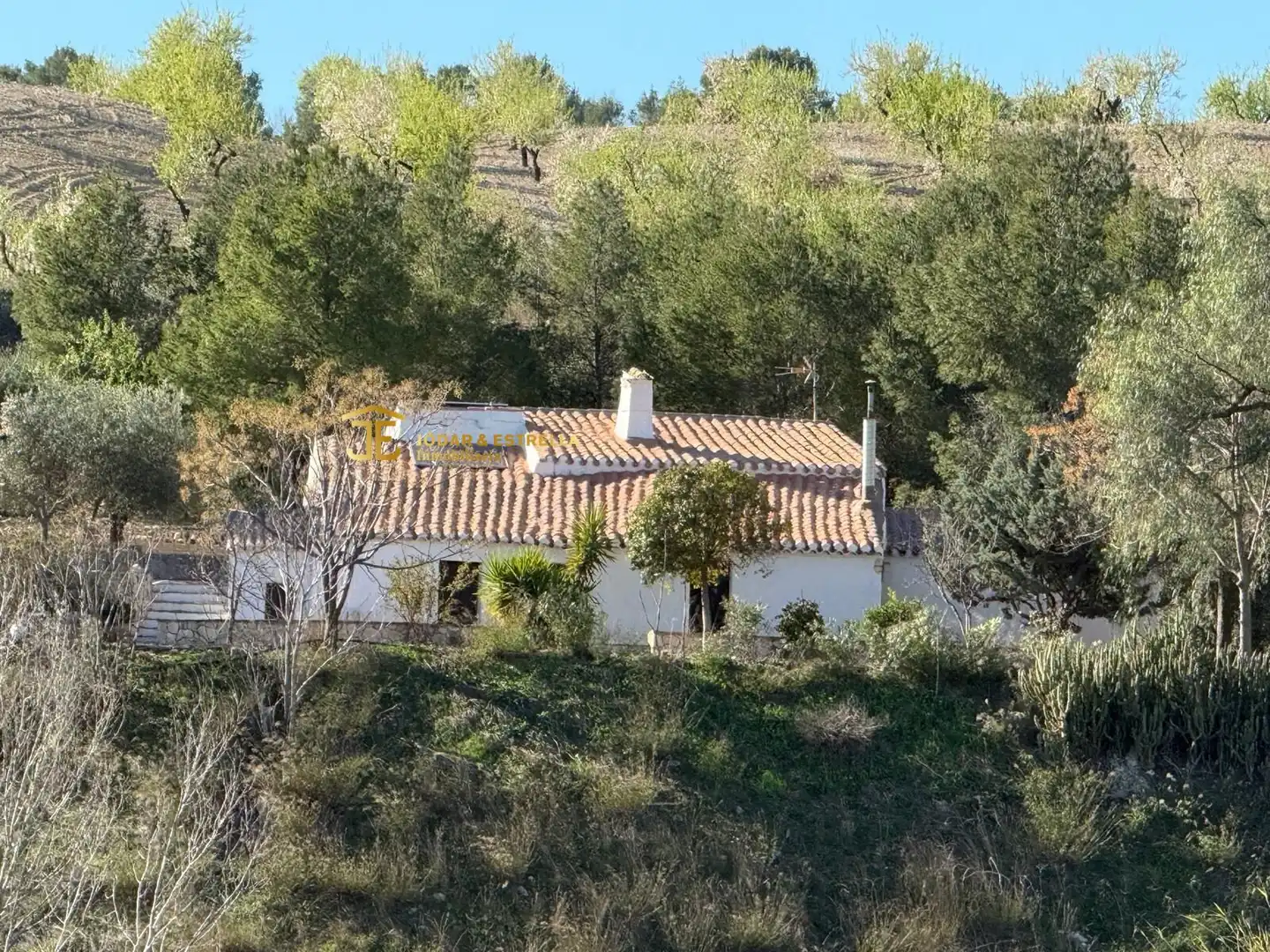 Exterior view of Houses for sale in Lorca