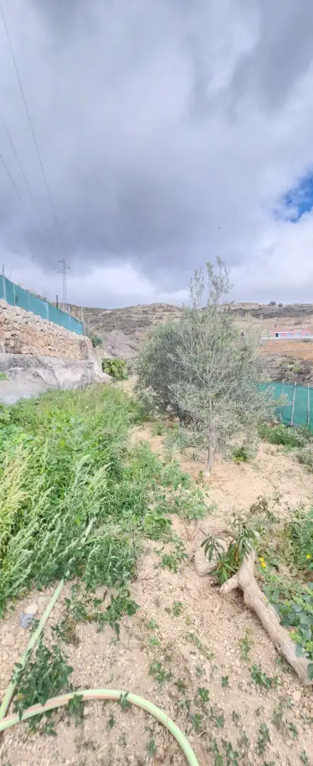 Terreno rustico in vendita a Vial Camino, imagen 11