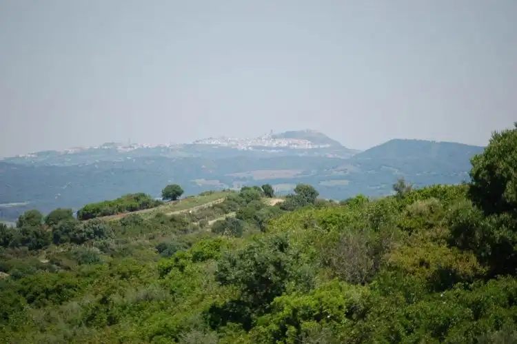 Terreni e lotti in vendita a La Muela, imagen 5