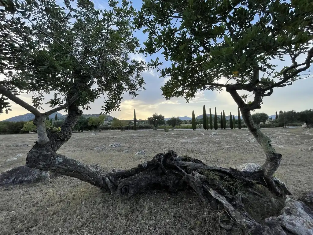 Finca rústica en venta en Pollença con Aire acondicionado, Calefacción y Piscina