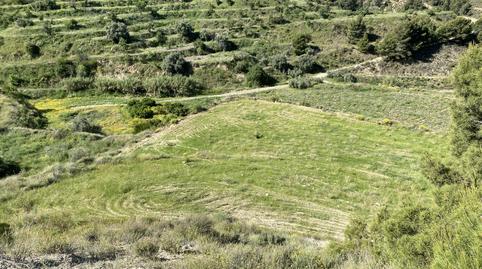 Photo 3 of Land for sale in  Lorca, S/n, Puntarrón, Murcia