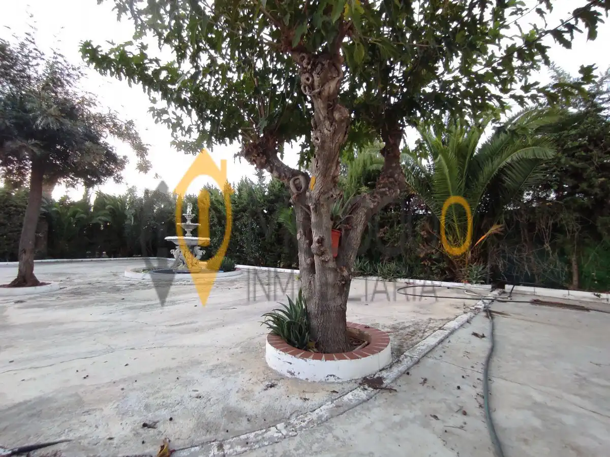 Casa o chalet en venta en Carmona, Carmona