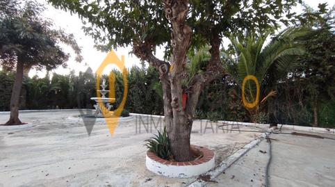 Foto 4 de Casa o xalet en venda a Carmona, Carmona, Sevilla