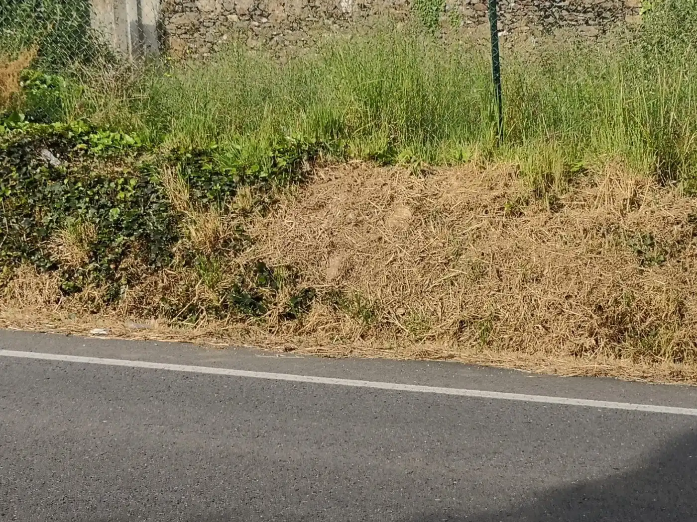 Terreni e lotti in vendita a Lugar O Formigueiro - Laracha, imagen 23