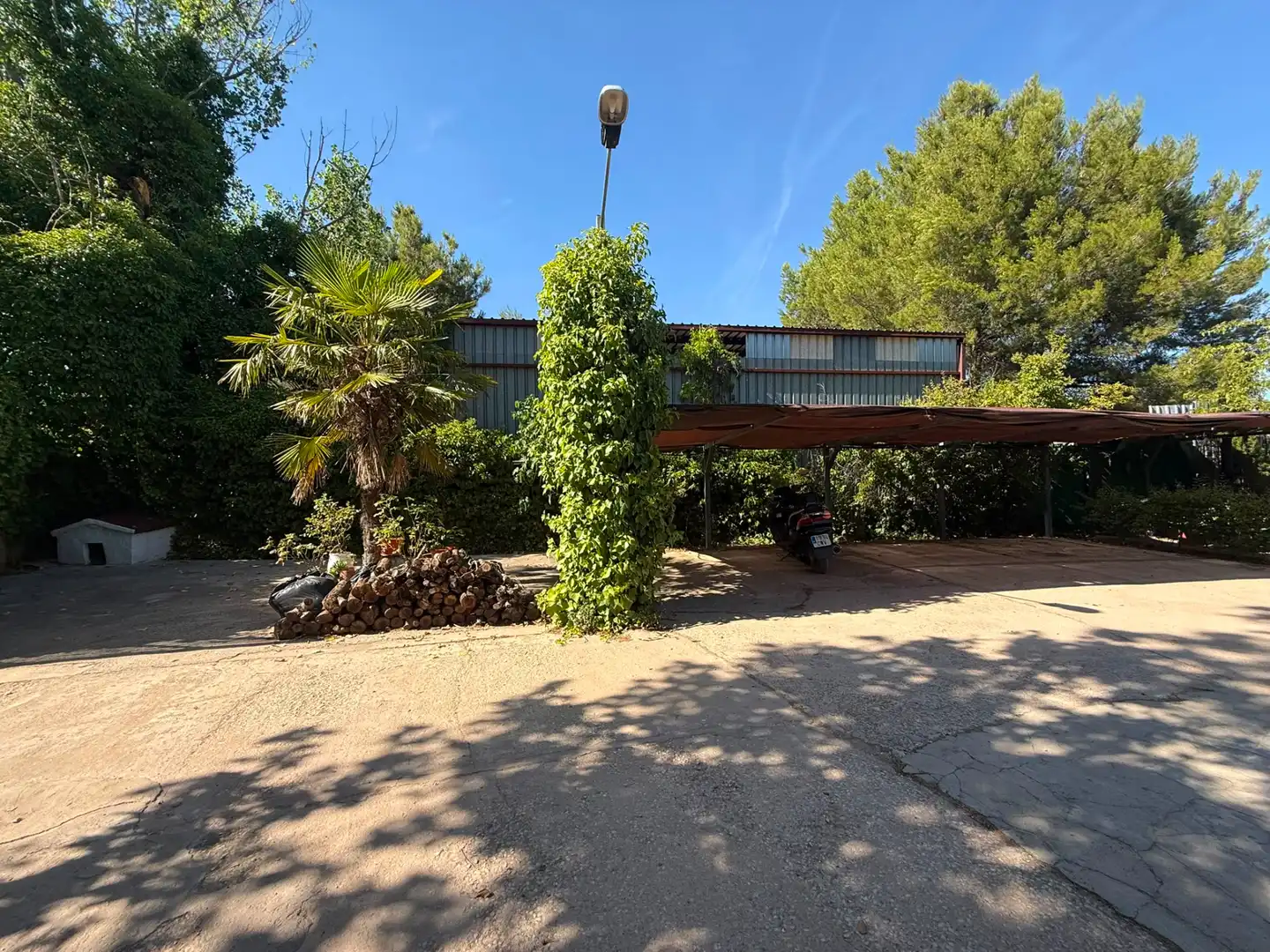 Vista exterior de Casa o chalet en venta en Argamasilla de Alba con Jardín privado, Terraza y Piscina
