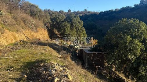 Foto 5 de Finca rústica en venta en Gibralgalía, Cártama