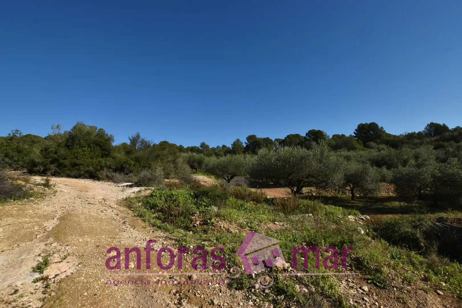 Terreno rustico in vendita a Urbanitzacions de Llevant, imagen 2