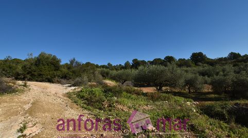 En funcionamiento, acceso fácil a 5 km de Tarragona ciudad, imatge 2
