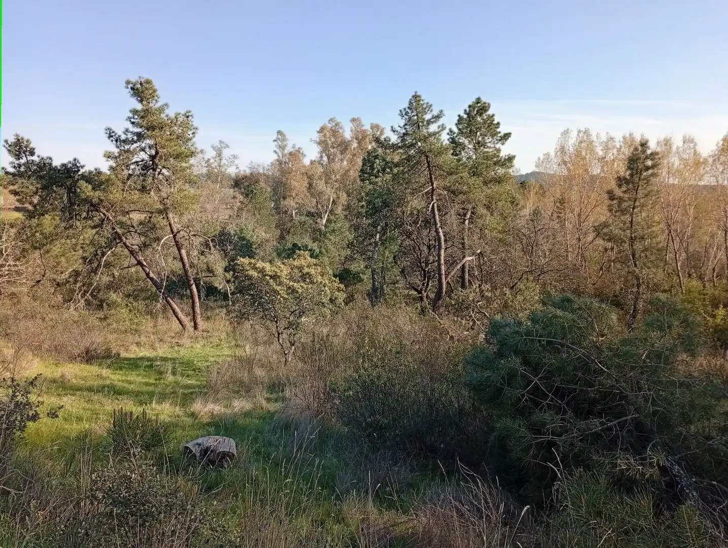 Terreni e lotti in vendita a Villanueva de la Vera, imagen 18