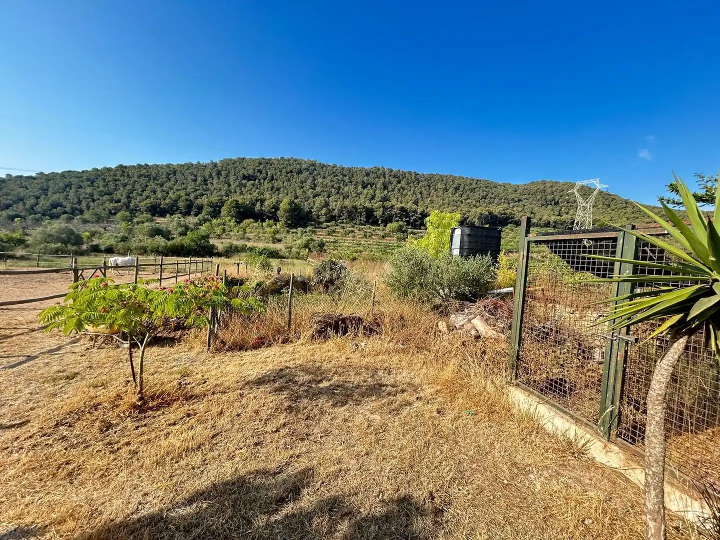 Terreny rústic en venda a Albinyana, imagen 13