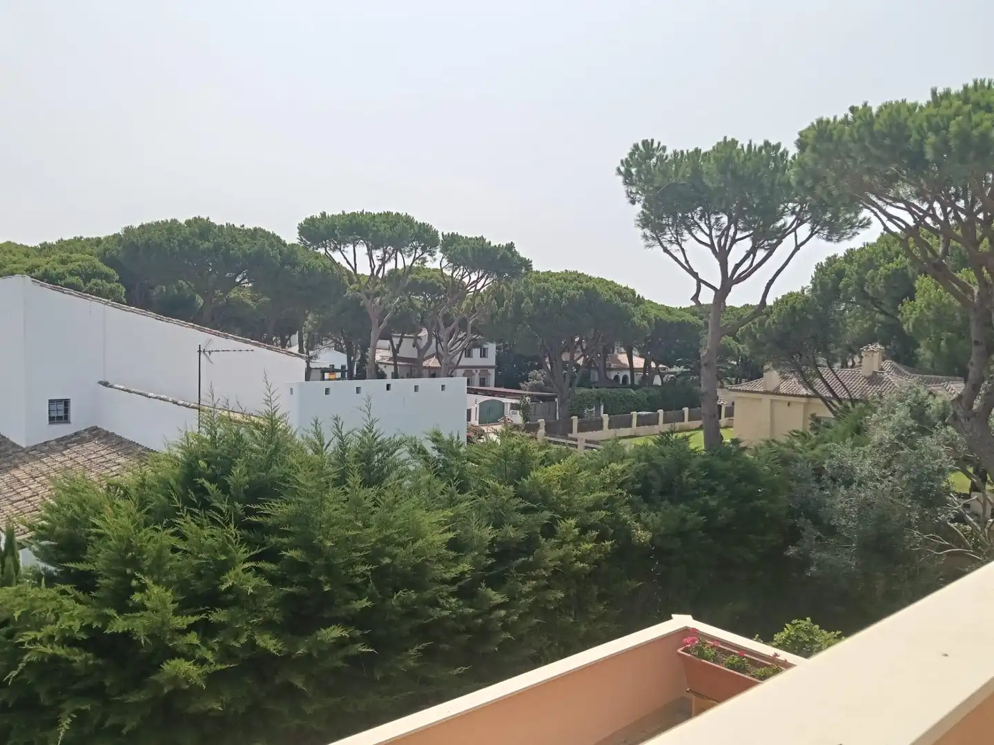 Jardí de Casa o xalet en venda en Conil de la Frontera amb Aire condicionat, Jardí privat i Terrassa