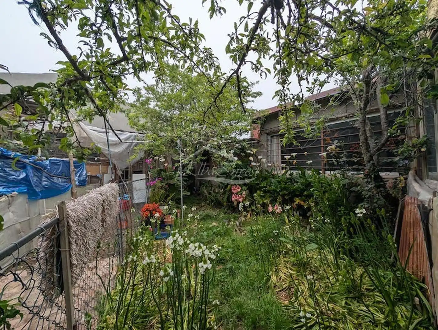 Garden of Buildings for sale in El Tanque