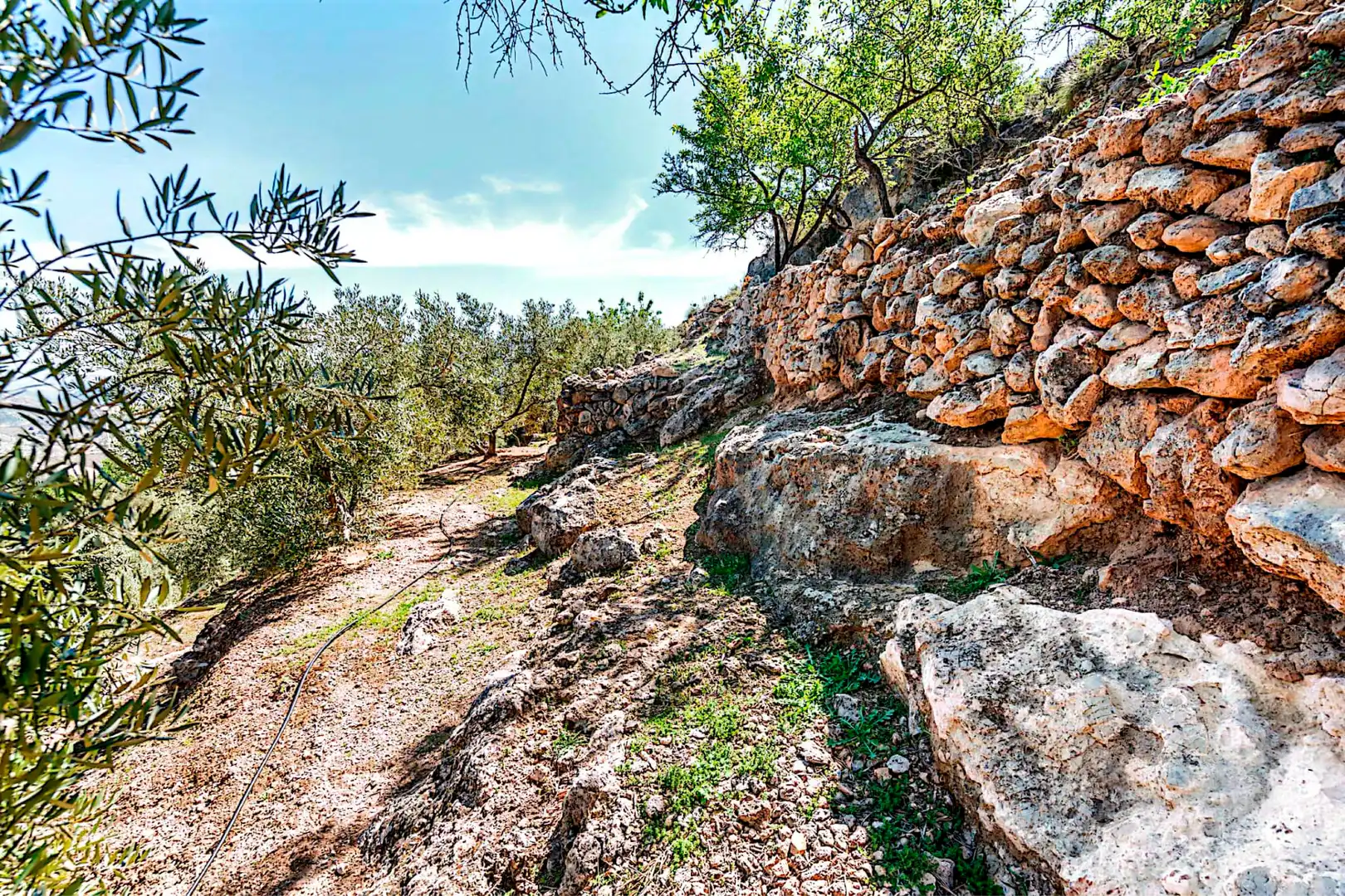 Terrain rustique à vendre à El Pinar, imagen 25