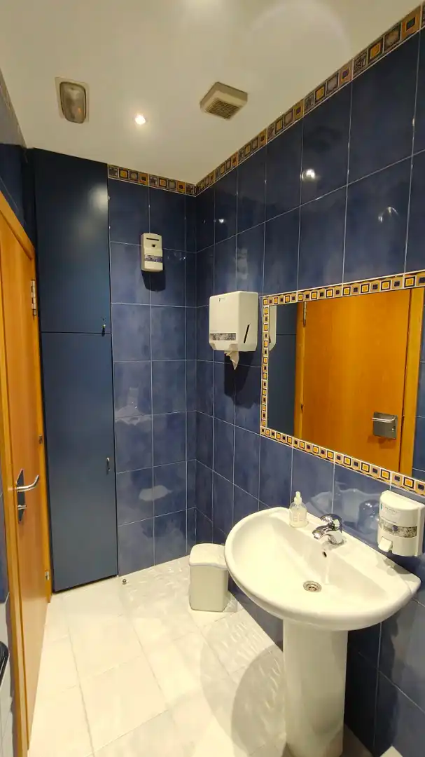 Bathroom of Commercial properties for sale in Durango  with Air Conditioner, Heating and Furnished