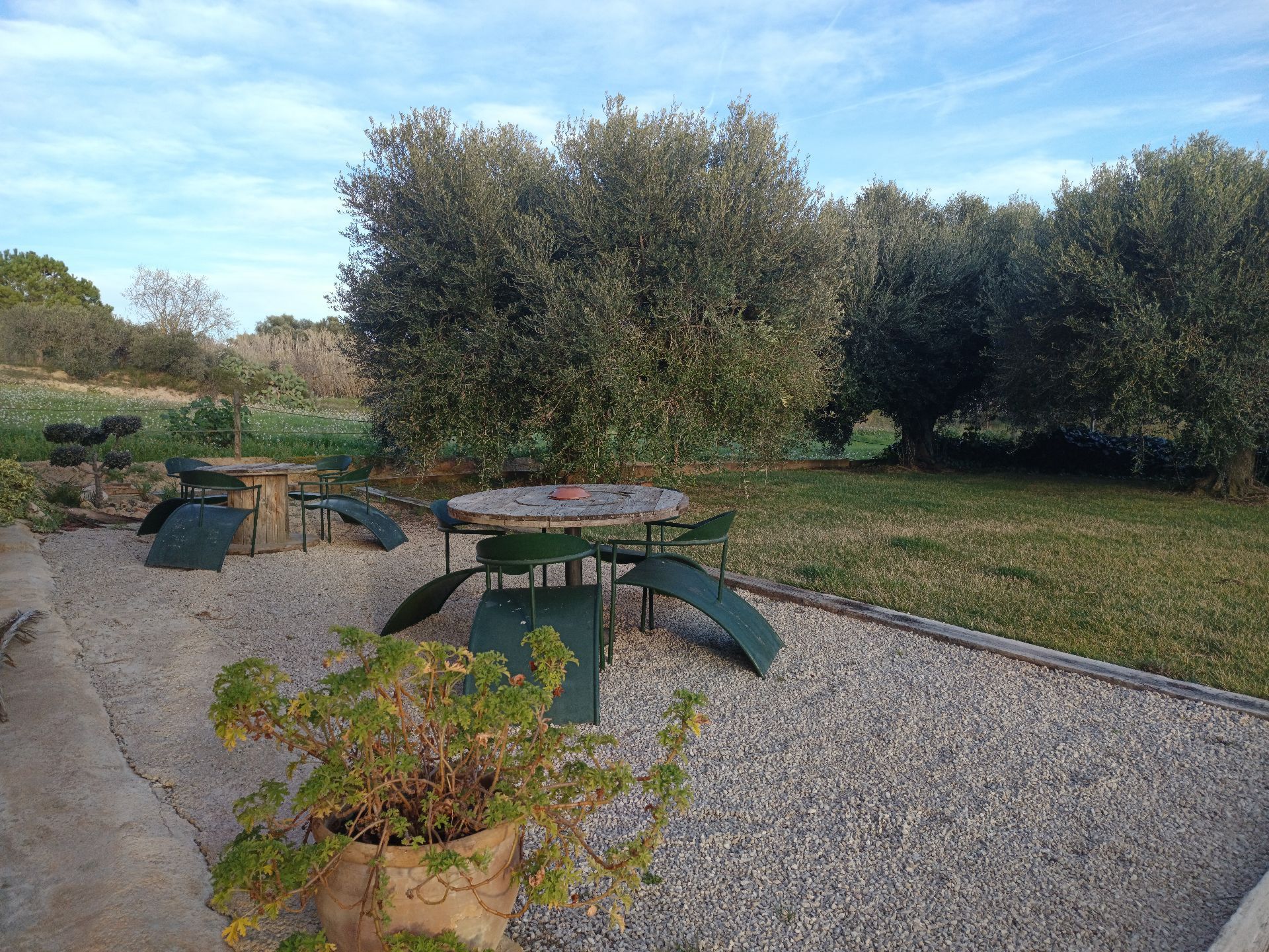 Garden of Flat to rent in Sant Martí Sarroca  with Furnished