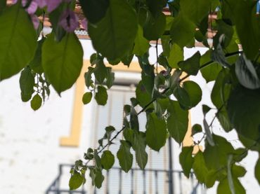 Villa à vendre à PLAZA DE ESPAÑA, 5