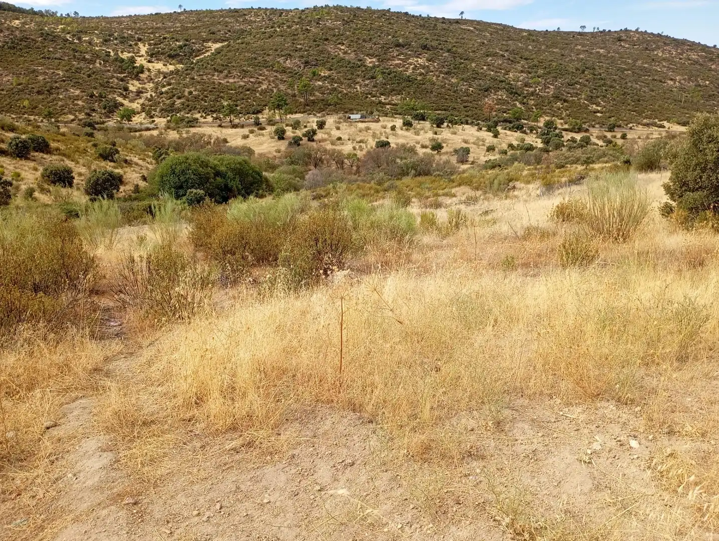 Terrenos y solares en venta en Robledo de Chavela, imagen 27