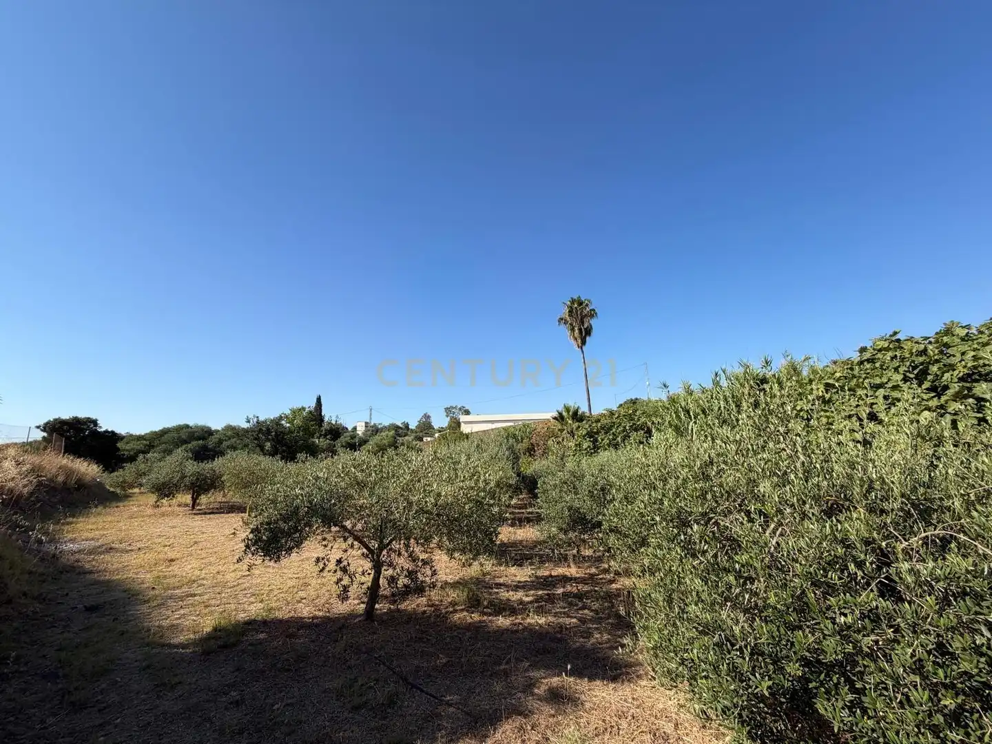 Terreni e lotti in vendita a Polígono 14 Parcela 58 ENTRE RIOS. MIJAS (MÁLAGA), imagen 15