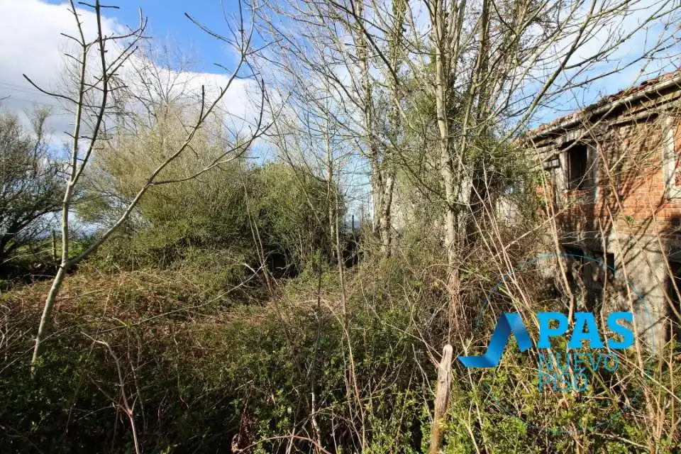 Casa o xalet en venda en Solórzano amb Jardí privat