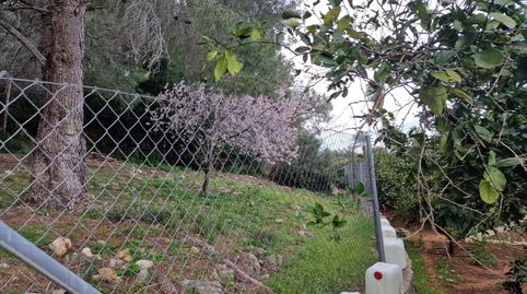 La inmobiliaria Garrigues Exclusivas le ofrece finca agrícola en plena producción de naranjas variedad Navel late.Finca rústica si, immagine 4