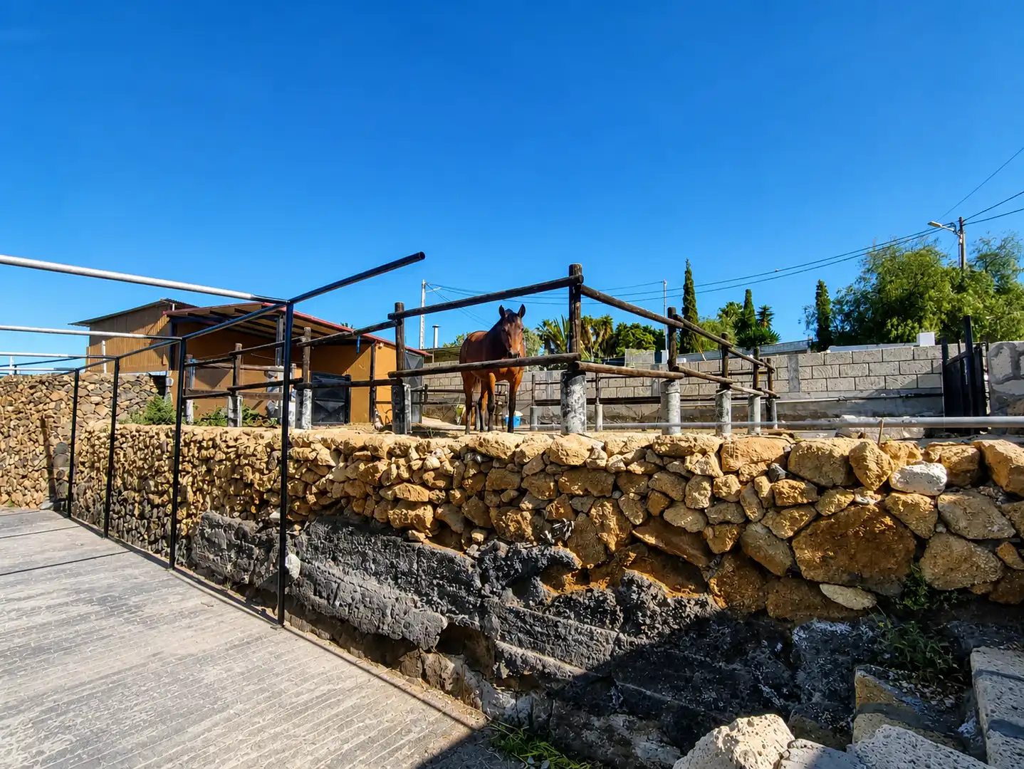 Vista exterior de Finca rústica en venda en San Miguel de Abona amb Aire condicionat, Calefacció i Jardí privat