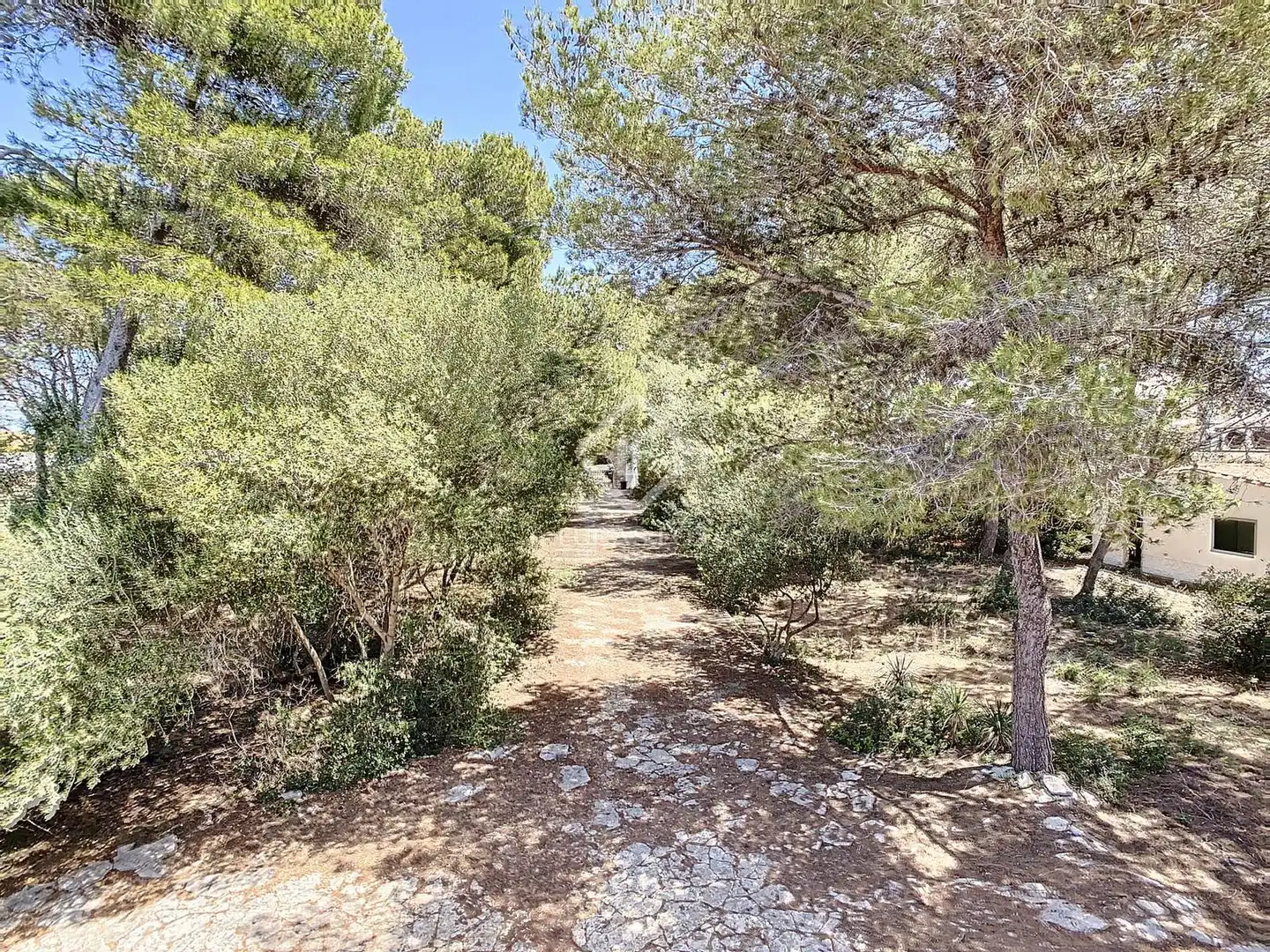 Villa con giardino in vendita a Cala Blanca, imagen 33