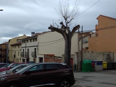 Grundstücke und Bauplätze zum Verkauf in Tarazona