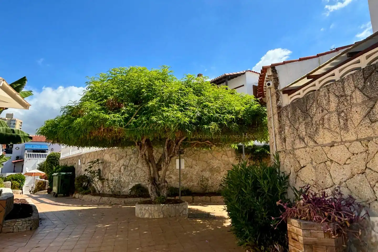 Vista exterior de Estudi en venda en Arona amb Terrassa, Moblat i Piscina comunitària