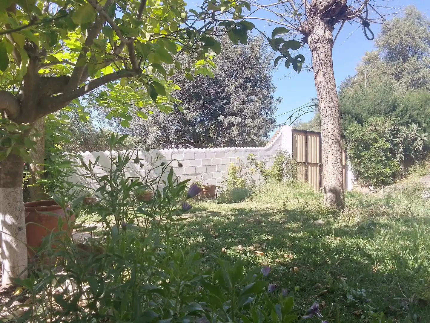 Garden of Houses for sale in Ubrique  with Private garden, Terrace and Balcony