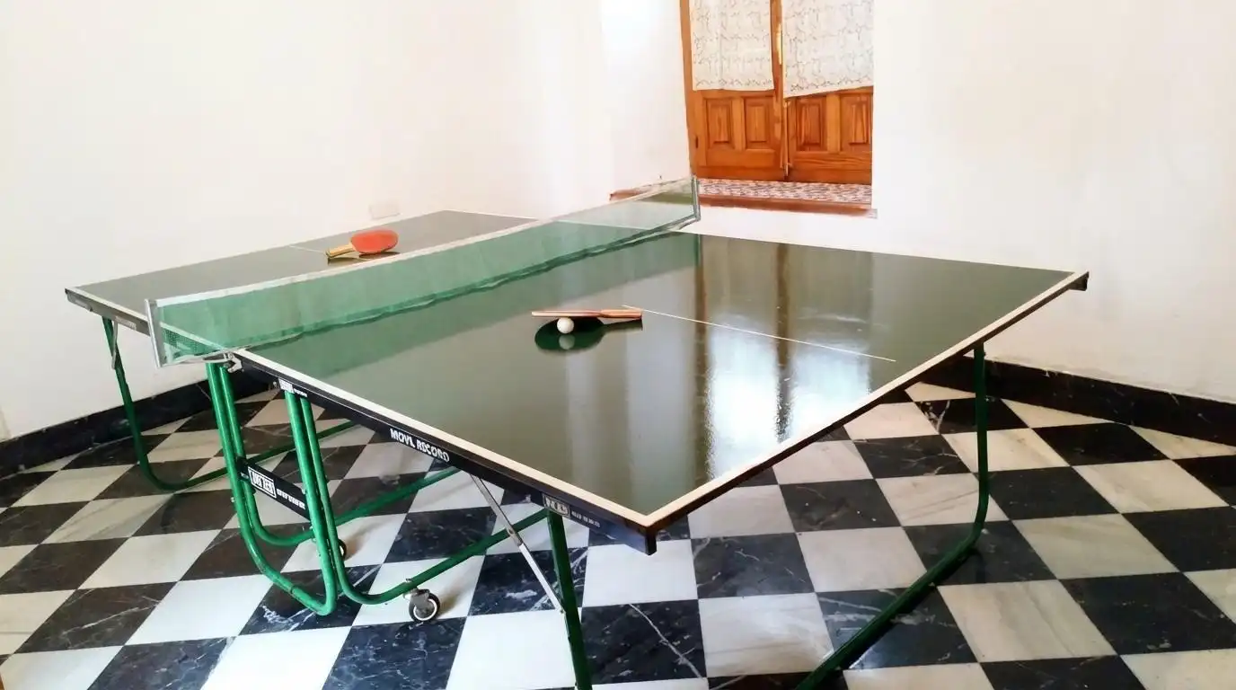 Casa con piscina in vendita a Calle MAESE LUIS 13, imagen 25