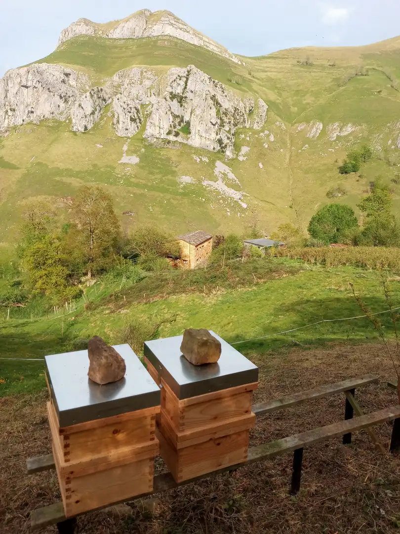 Jardín de Finca rústica en venta en San Roque de Riomiera con Jardín privado
