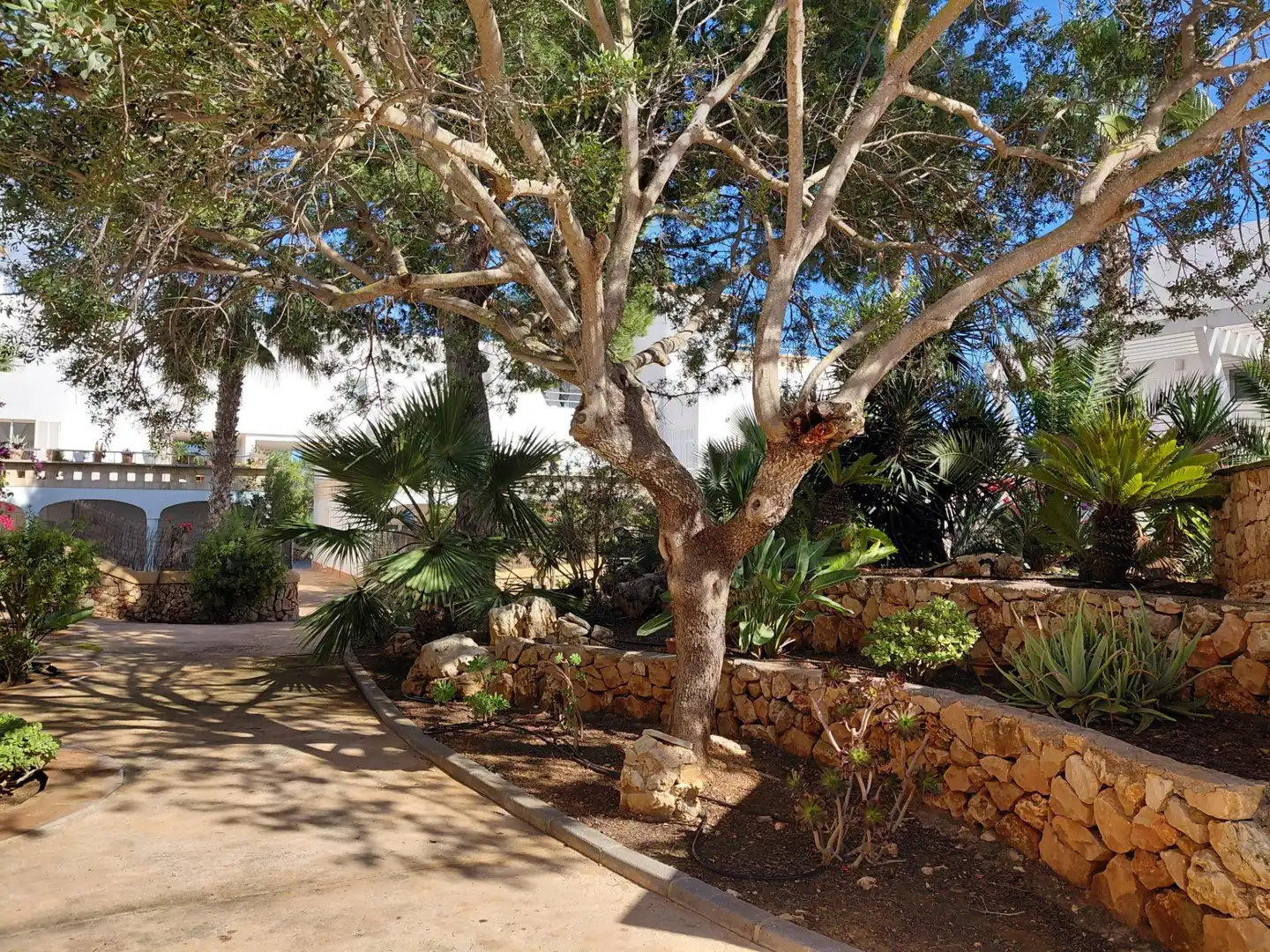 Jardín de Planta baja en venta en Santanyí con Aire acondicionado, Jardín privado y Terraza