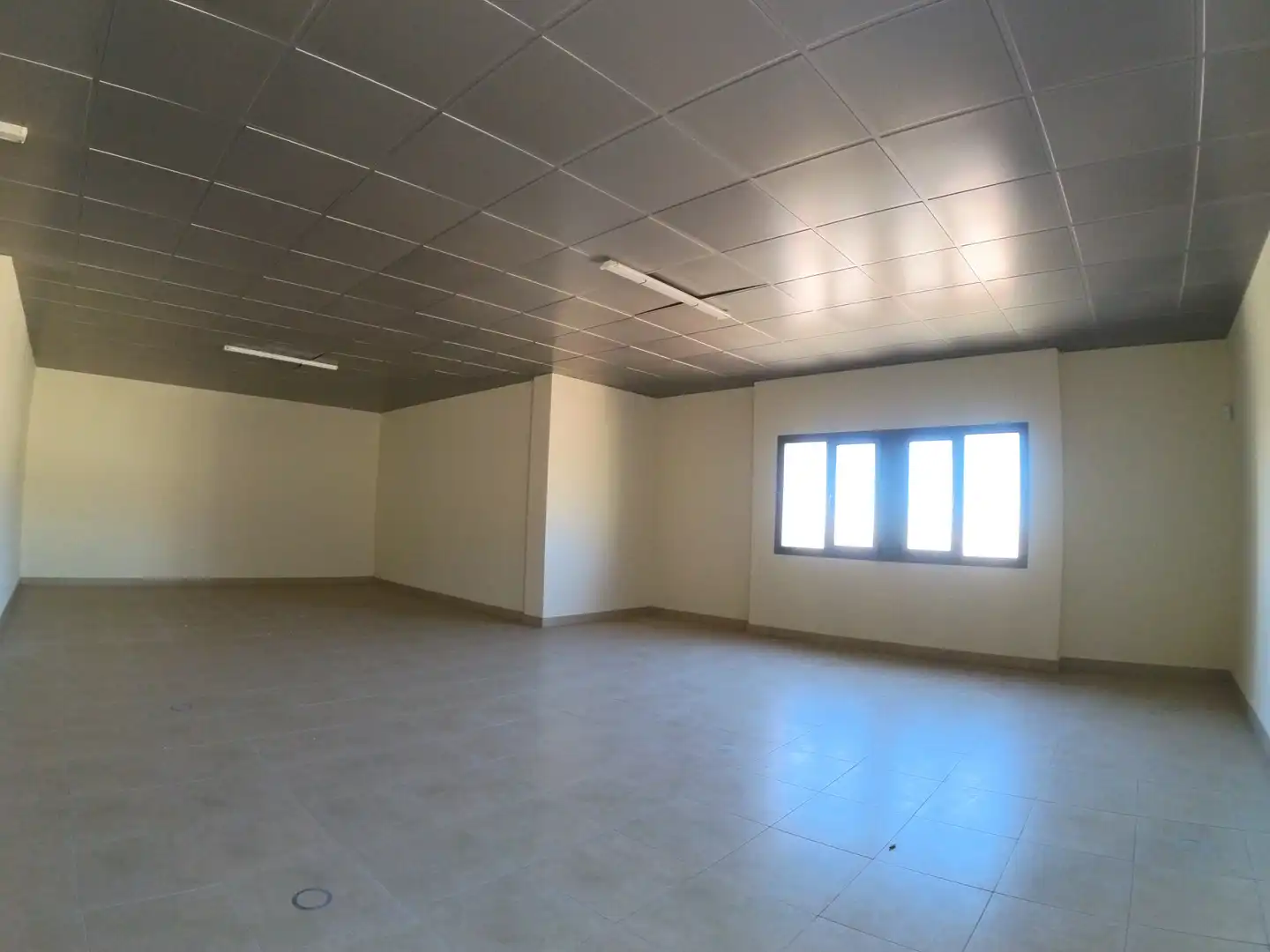 Office space with lift for sale in El Ejido Ciudad, imagen 54
