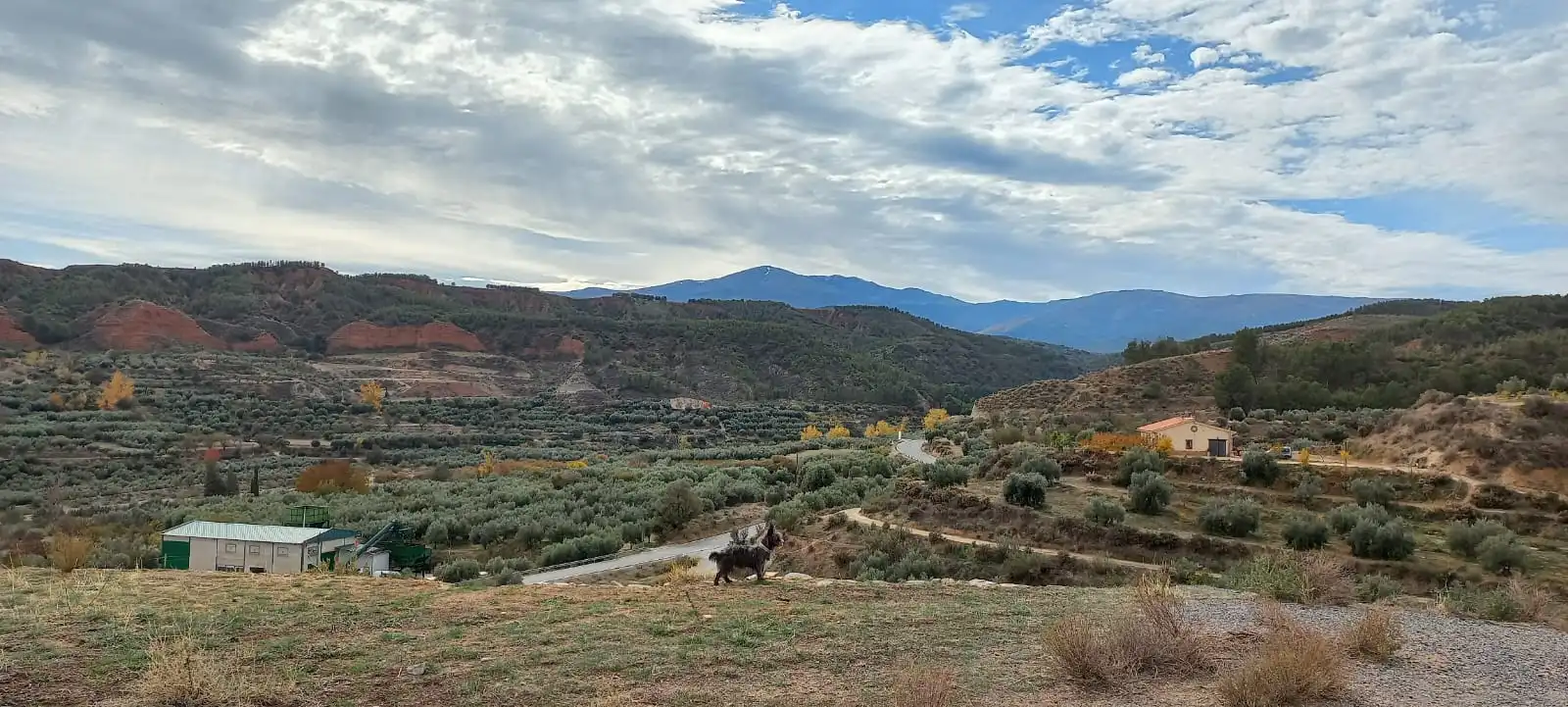 Vista exterior de Residencial en venda en Beas de Guadix