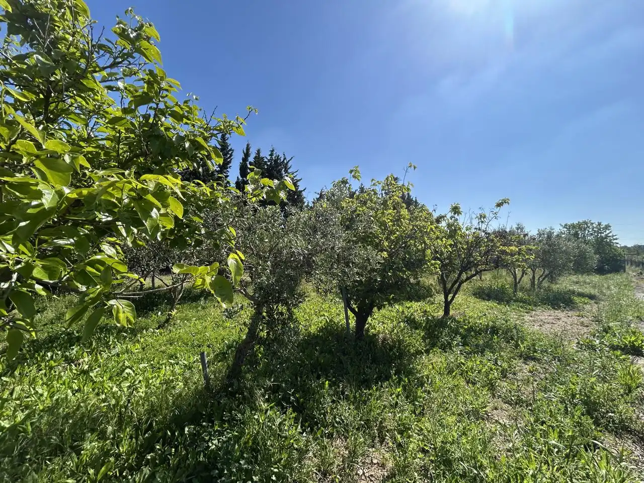 Finca rústica en venda en Tudela amb Piscina