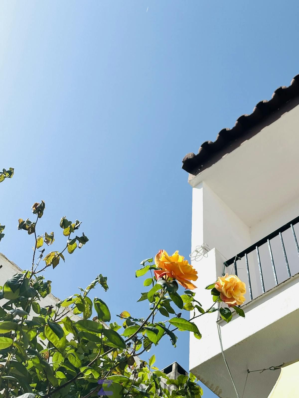 Vista exterior de Casa o chalet de alquiler en Guaro con Calefacción, Jardín privado y Terraza