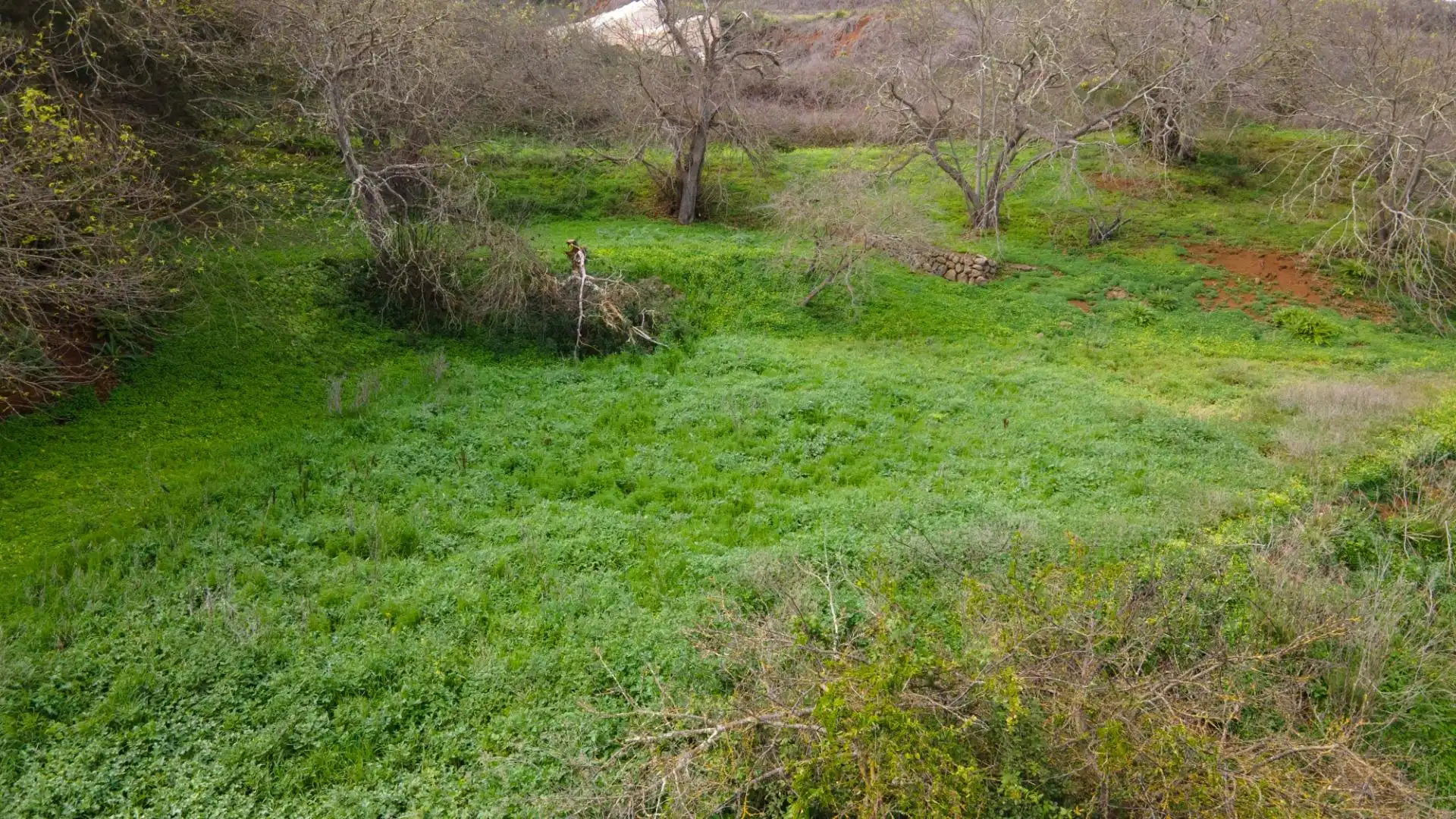 Rustikales Grundstück zum Verkauf in La Esperanza 17, imagen 40