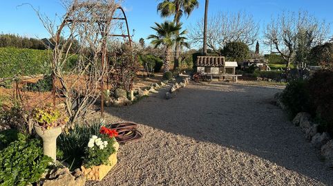 Foto 5 de Casa o chalet en venta en Ma 3020, Sencelles, Illes Balears