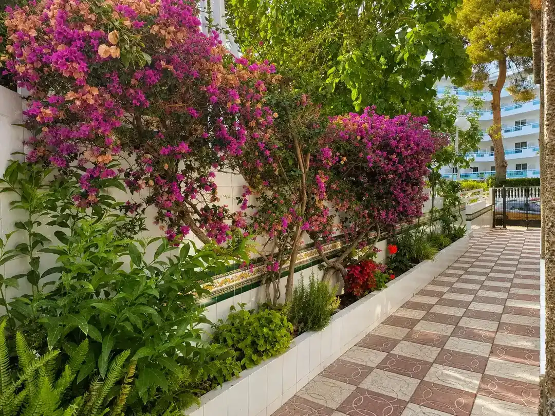 Wohnung mit Terrasse zum Verkauf in Carrer del Penedès 9, imagen 20