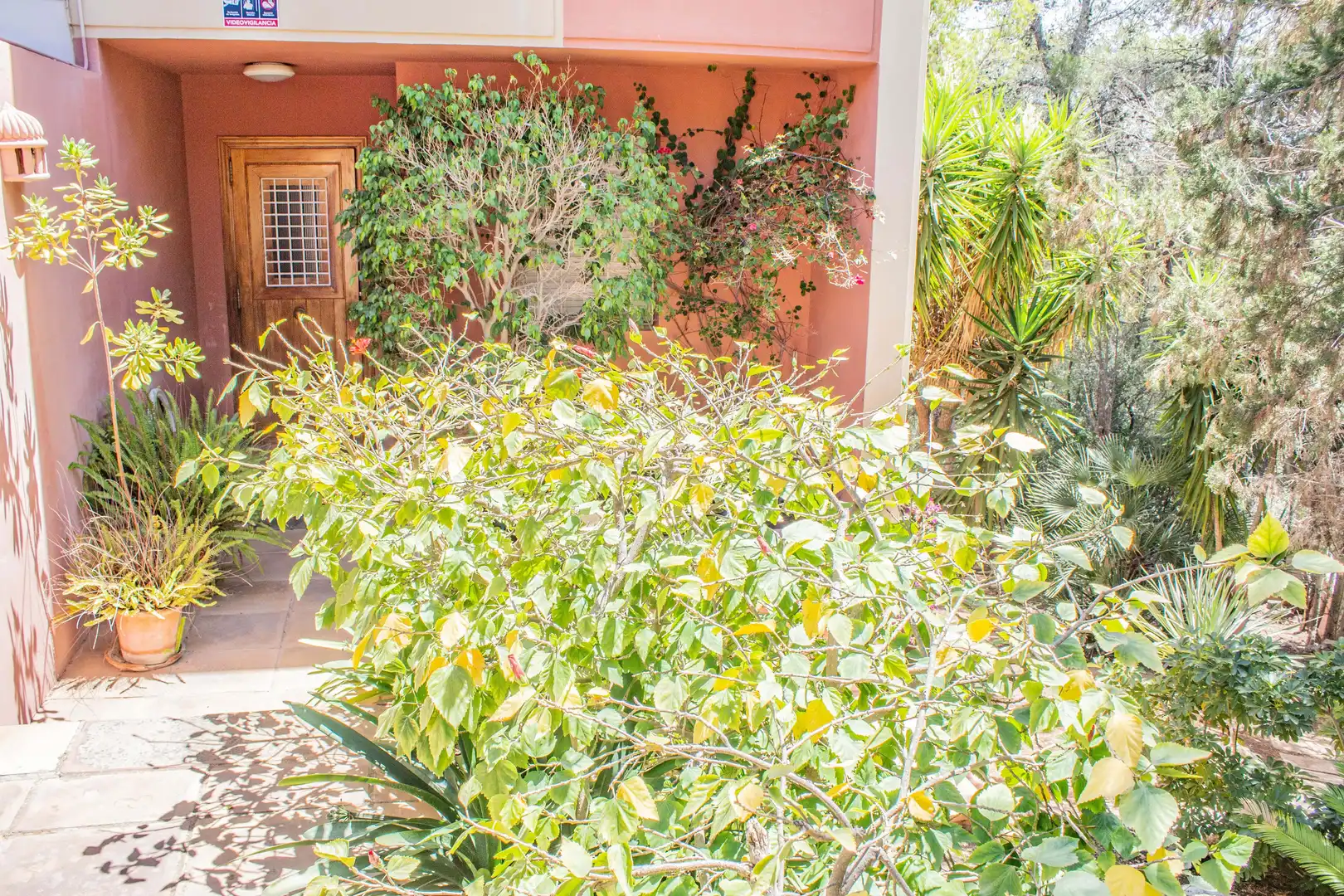 Garten von Einfamilien-Reihenhaus zum Verkauf in Calvià mit Klimaanlage, Heizung und Terrasse