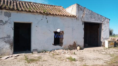 Foto 4 de Finca rústica en venda a Mairena del Alcor, Sevilla