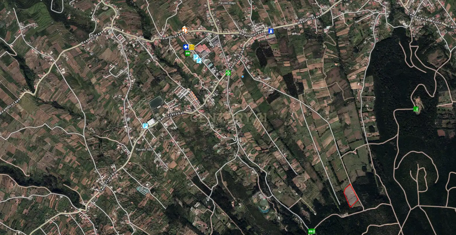 Terreny rústic en venda a Camino El Pozo, imagen 12