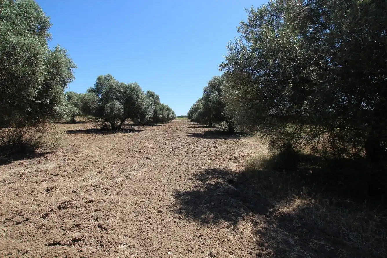 Terrenos y solares en venta en Núcleo urbano, imagen 13