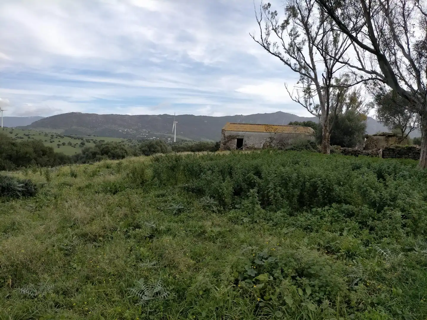 Terreno en venta en Tarifa