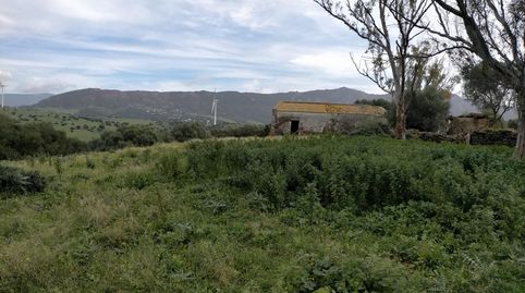 Foto 4 de Terreny en venda a Lugar Lugar Cumbres, 10, Facinas, Tarifa