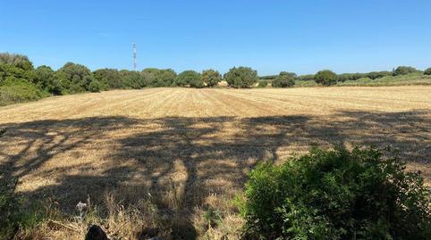 Foto 3 de Finca rústica en venda a El Almedral, Cádiz
