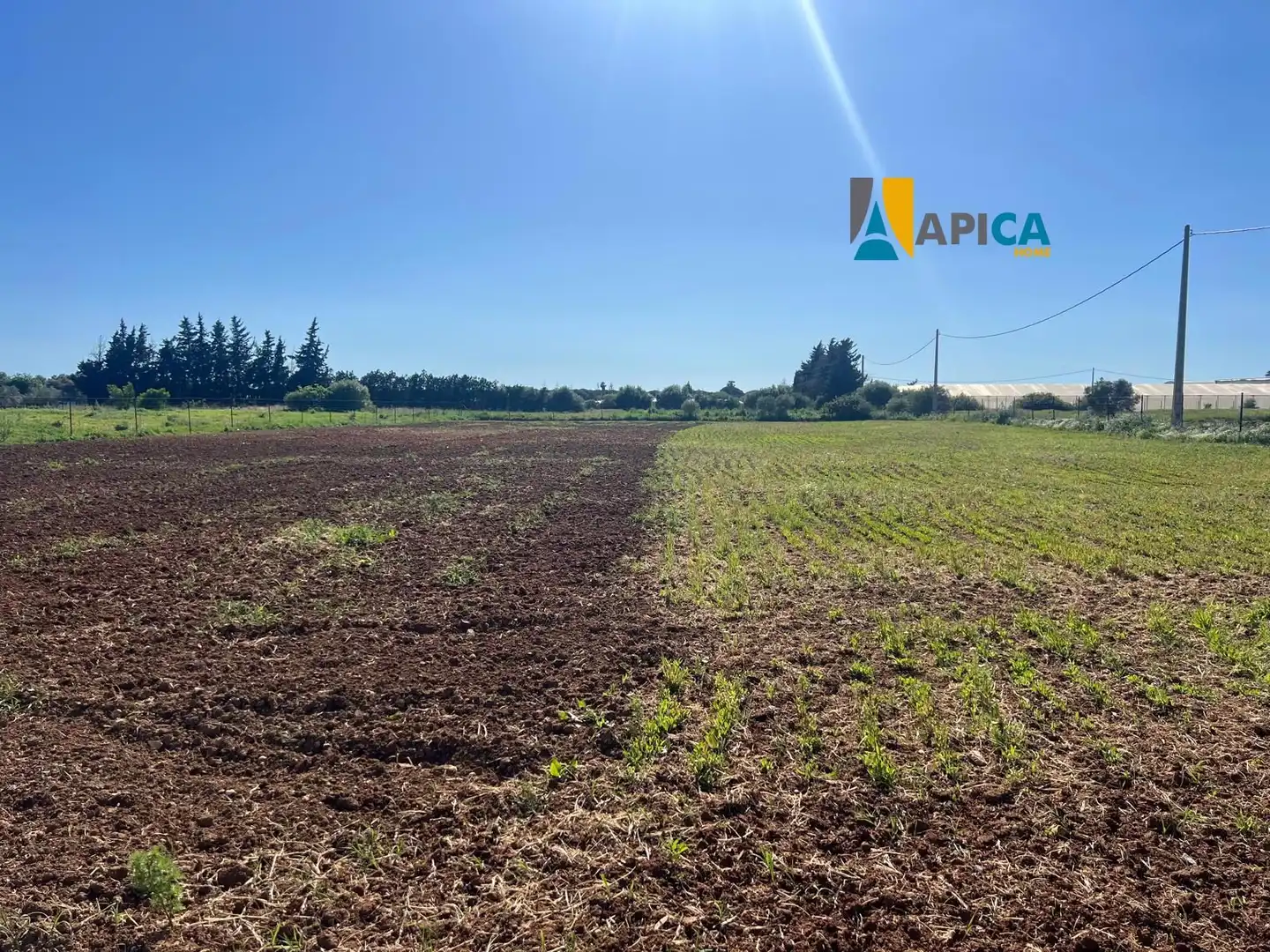Terreno en venta en Conil de la Frontera