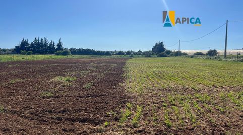 Foto 5 de Terreno en venta en Roche, Conil de la Frontera