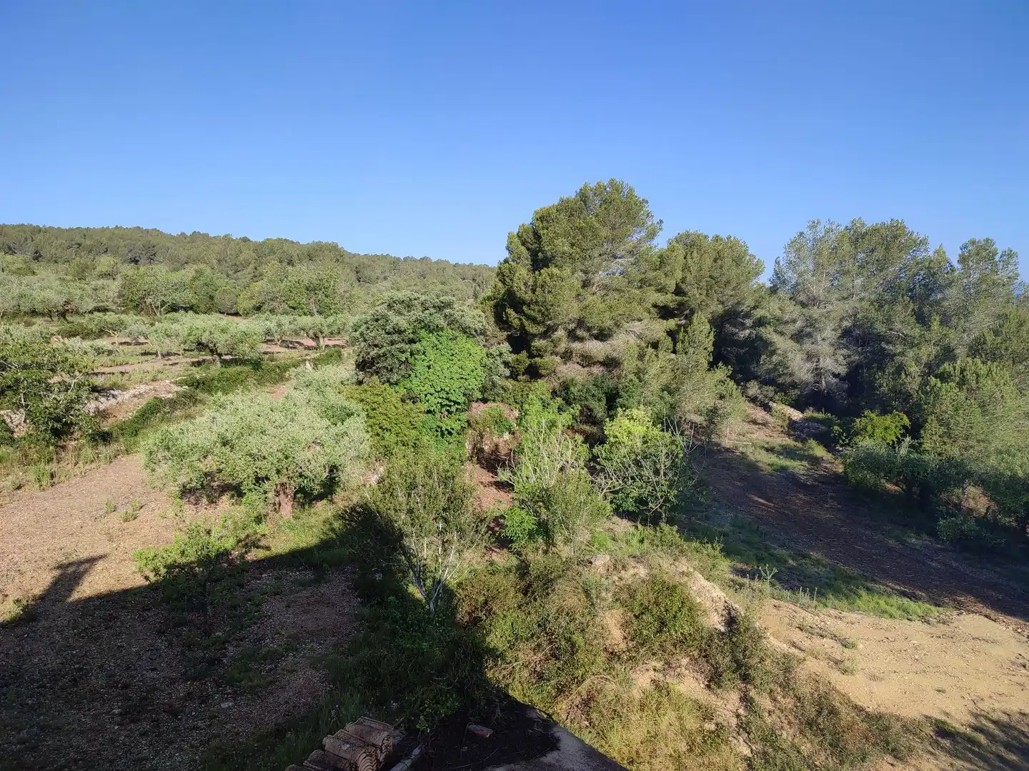 Finca rústica en venta en La Riera de Gaià con Trastero
