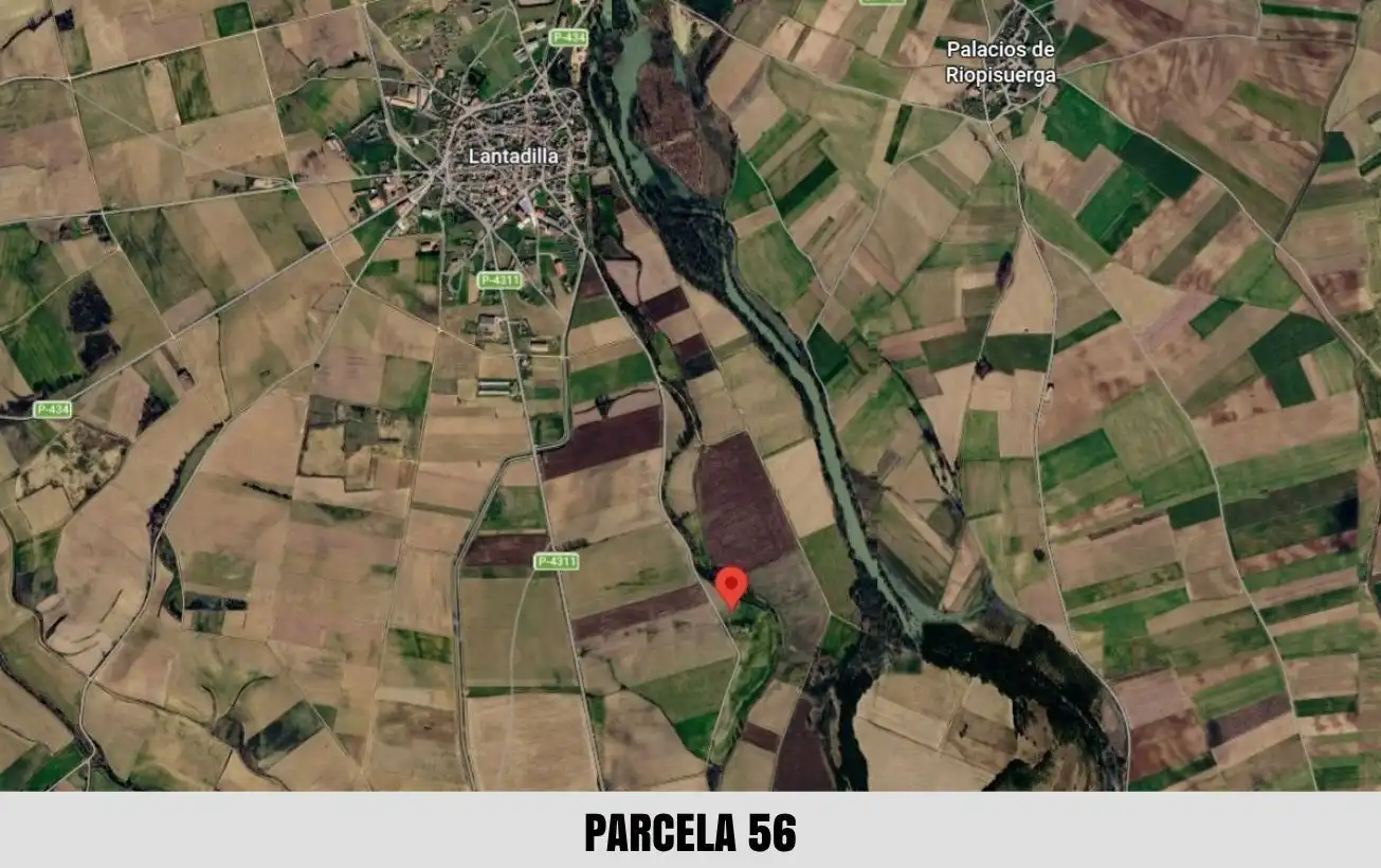 Terreno en venta en Palacios de Riopisuerga